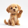 Paw